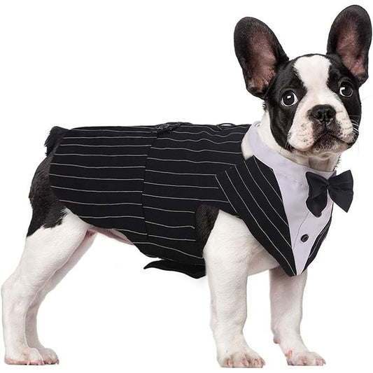 Black-Tuxedo-Dog-Suit