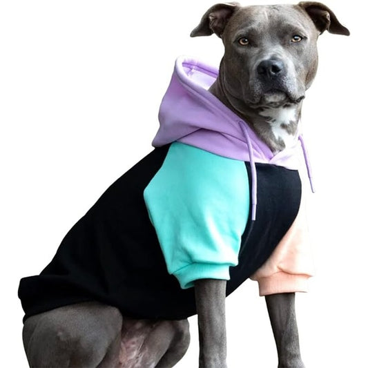 Mixed-Colored-Sporty-Dog-Hoodie